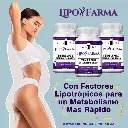 F25 Lipo Farma 01.webp