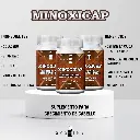SASHINE Fichas Tecnicas Minoxicap.webp