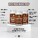 SASHINE Fichas Tecnicas Minoxicap.webp